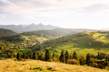 Naklejka premium Inspiring landscape of green hills. Terraced fields stretch across the hills of lush greenery. Concept of nature, freedom and view.