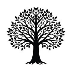 Fototapeta premium vector tree silhouette