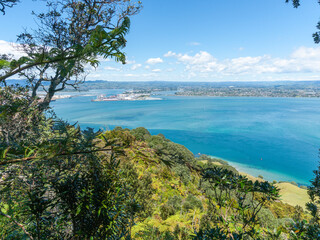 View from top of Mount Maunganui western slope looking over harbour and city
