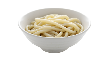 Uncooked, plain udon noodles in a white bowl
