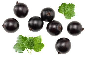 black currant isolated on white background. macro. clipping path. top view