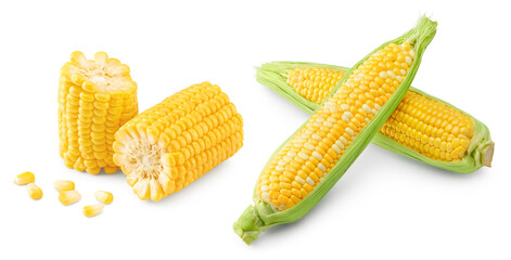 Fresh corn on cob isolated on white background. clipping path