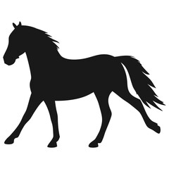 Fototapeta premium Horse Silhouette
