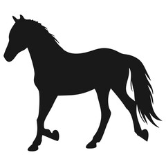 Obraz premium Horse Silhouette