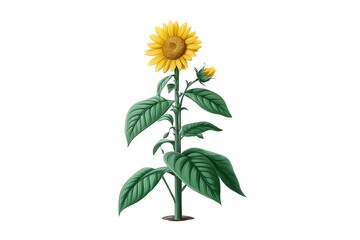 Fototapeta premium Vibrant Sunflower Blooming with Summer Field, and Botanical Illustration.