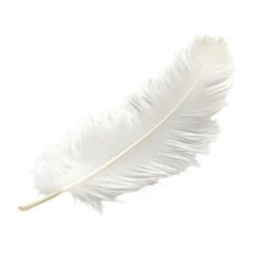 Large white feather resting on a flat surface illuminated by soft ambient light in a serene and peaceful setting