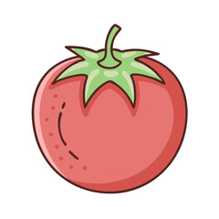 Illustration of fresh red tomato vegetable food healthy eating garden harvest ripe produce diet