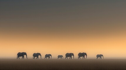 Fototapeta premium Majestic elephants in a misty sunrise landscape