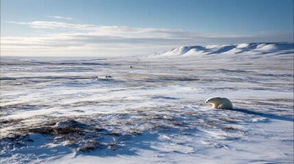 Lone polar bear in the frigid expanse of the arctic tundra under a vast sky