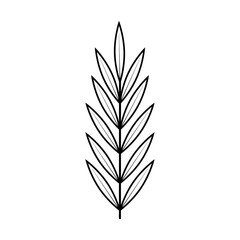 Bamboo branch in black outline. Bamboo leaves isolated on white or transparent background. Vector illustration. Icon. Plant element close-up for tropical design decoration. lineart.