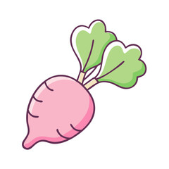 Illustration of fresh radish vegetable root with green leaves healthy food ingredient for cooking