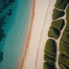Aerial top-down view of a pristine beach with lush green vegetation bordering the white sand and turquoise water.