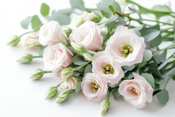 Modern Flowers. Beautiful Eustoma and Eucalyptus in Stylish Minimal Arrangement on White Background