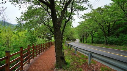 Fototapeta premium Beautiful spring scenery in Korea