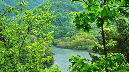 Beautiful spring scenery of Unmun Dam in Korea