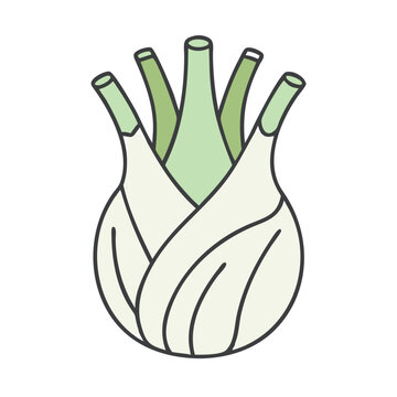 recommend clip art: Illustration of fresh fennel bulb vegetable anise flavor ingredient healthy eating plant food