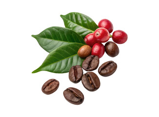 Ripe roasted and unripe red coffee beans with green leaves on a transparent background png drinks design 
