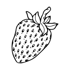 detailed strawberry outline with seeds and leaves