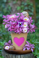 Blumen-Arrangement mit pink Hornveilchen (Viola flower), Gänseblümchen (Bellis perennis) und...