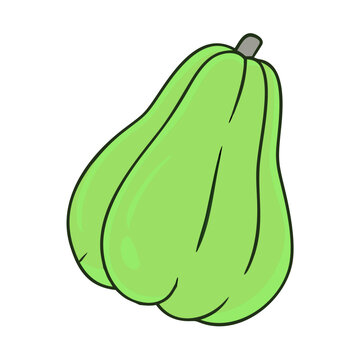 recommend clip art: Illustration of chayote squash vegetable gourd food green healthy ingredient fresh produce garden plant