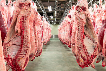 牛肉加工場　枝肉貯蔵庫 Beef processing plant - Carcass storage facility