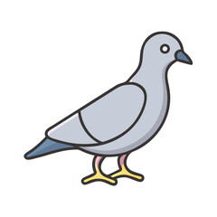 Illustration of a gray pigeon bird dove urban wildlife animal flying peace hope vector art design