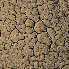 Abstract close-up of cracked desert earth with rich textures and natural patterns &mdash; high detail, dry tones, and overhead composition.