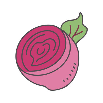 recommend clip art: Isolated beet vegetable illustration beetroot healthy food garden fresh organic crop farm harvest