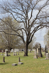 Naklejka premium Historic Oakwood Cemetery With Large Oak Tree in Tyler TX