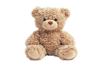 Obraz premium Soft, plush teddy bear, sitting