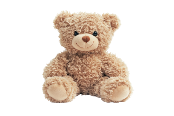 Soft, plush teddy bear, sitting