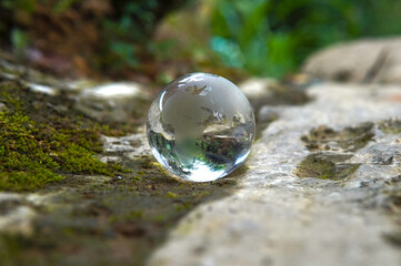 Glass globe placed on moss. Environmental concept. Concept of society and governance regarding a sustainable global environment.