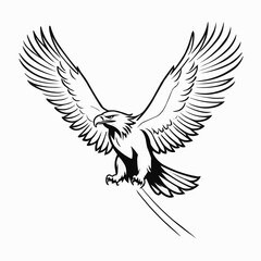 Majestic eagle with spread wings illustration, powerful bird of prey in black line art style
