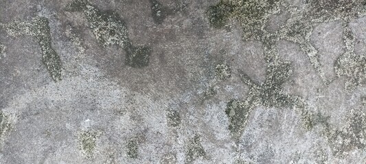 Weathered Cement Wall with Moss and Algae Texture. Detailed surface of a weathered cement wall with...