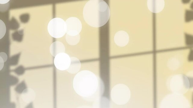 Soft focus interior showing blurred window grid shade, animated bokeh lights drifting around leaves