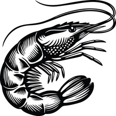 Shrimp Vector Illustration – Line Art, Silhouette, Clipart, Icon & Logo Design