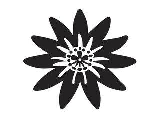 Passion Flower Line Art, Botanical Passionflower Illustration, Floral Outline Drawing