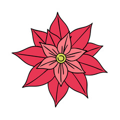 poinsettia flower icon, poinsettia flower vector illustration-simple illustration of poinsettia flower, perfect for poinsettia flower logos and icons