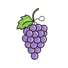 Illustration of grapes fruit grape vine fresh healthy food purple grape drawing cartoon grape bunch