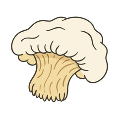 Illustration of cauliflower vegetable healthy food diet nutrition vegetarian vegan organic farm fresh produce