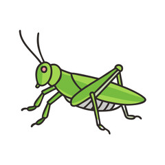 Illustration of a green grasshopper insect animal with antennae legs and wings vector drawing clip art