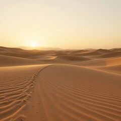 Desert Landscape at Sunset