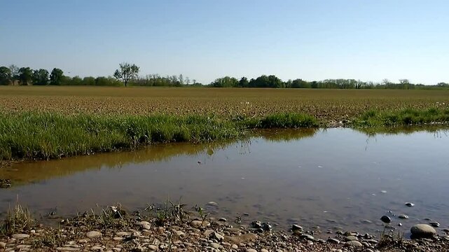 Groupement d'insectes autour d'un point d'eau lors d'une journ&eacute;e chaude.