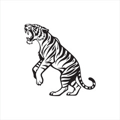 Roaring Tiger Silhouette on White Background