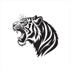 Roaring Tiger Silhouette on White Background
