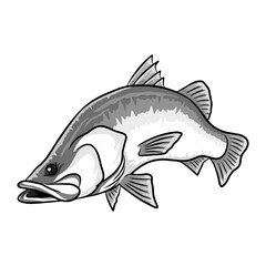 barramundi fishing illustration logo vector image t shirt
