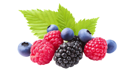Fresh mixed berries with leaves including raspberry, blueberry, and blackberry isolated on transparent background