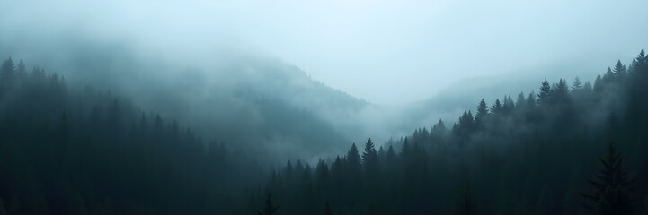 fog in the mountains