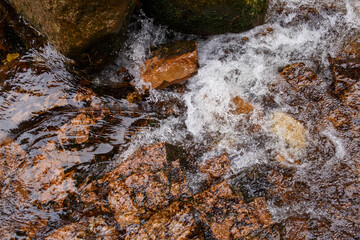 Mountain stream with clear water flowing over rocks