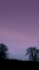 Minimalist nature landscape featuring a dark silhouette of a tree or mountain against a soft pastel gradient sky. Flat or semi-realistic style with a calm, peaceful mood. Created with generated AI